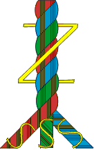 s/Z gedrehter Zwirn; Nhfaden