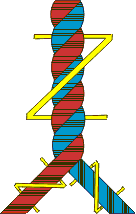 z / Z twisted yarn (voile)