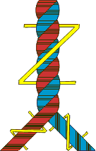 z/Z gedrehter Zwirn; Voile