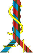 z / S twisted yarn